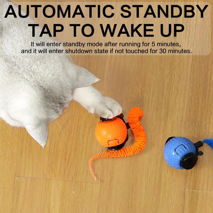 Rechargeable Interactive Cat Toy Ball - Durable Teaser for Play and Exercise, Available in Single or Double Pack